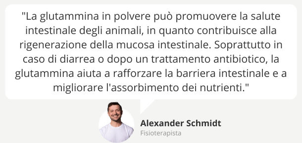 Consigli: glutamina per animali