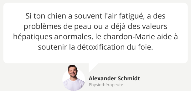 Alexander Schmidt