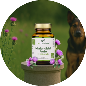 Mariendistel Forte für Hunde
