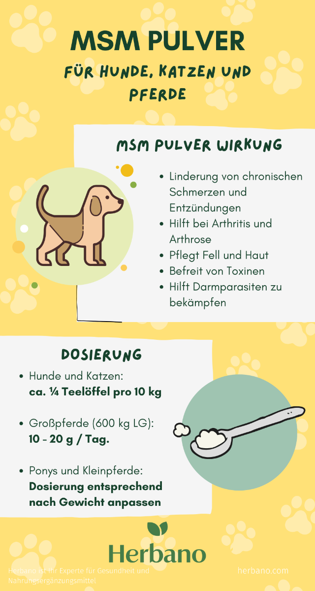 MSM Pulver für Hund, Katze & Pferd Wirkung