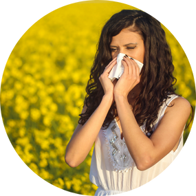 MSM gegen Allergie