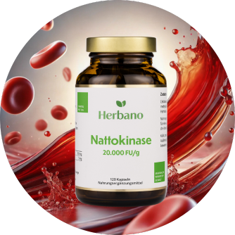 Nattokinase Kapseln