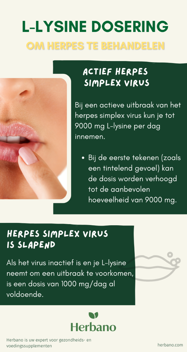 L-Lysin Kapseln Dosierung bei Herpes