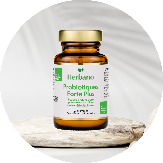 Probiotiques Forte Plus hautement dosés | Herbano