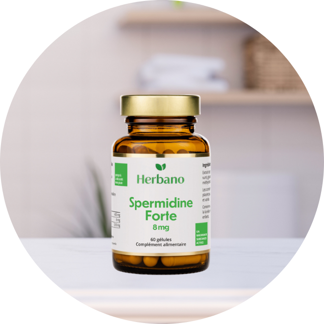 Spermidine Herbano