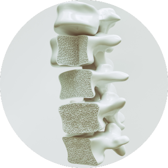 vitamin k2 osteoporose