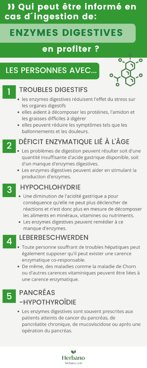 Enzymes digestives