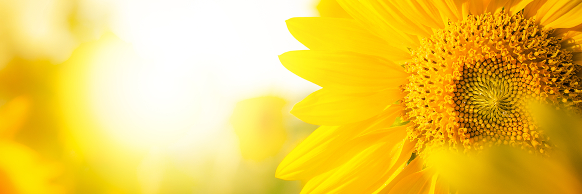 Vitamin D